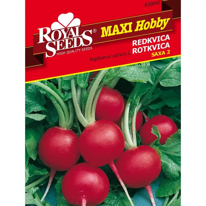 Sjeme povrća Royal seeds maxi hobby 42 rotkvica saxa (non plus ultra)-0