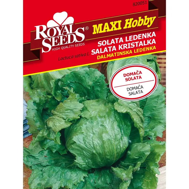 Sjeme povrća ROYAL SEEDS MAXI HOBBY 51 SALATA DALMATINSKA LEDENKA-0
