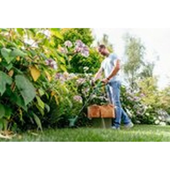 Električni trimer Bosch Easygrasscut 23-1