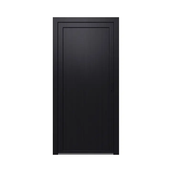 Pomoćna vrata SAMOPEV COVER 60 90x205 D ANTRACIT-0