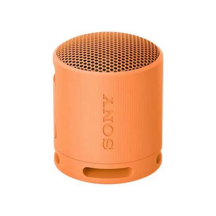 Bluetooth zvučnik SONY SRSXB100D.CE7-0
