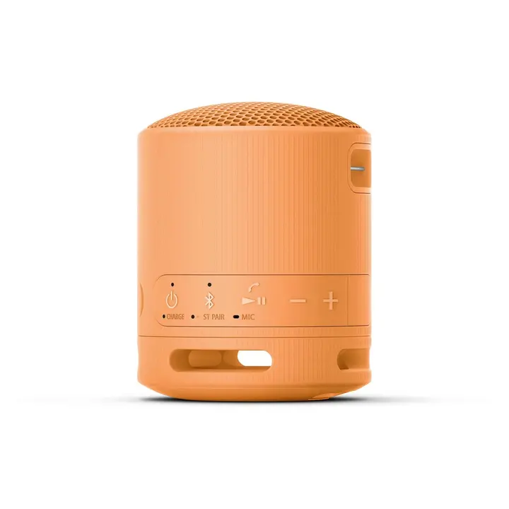 Bluetooth zvučnik SONY SRSXB100D.CE7-1
