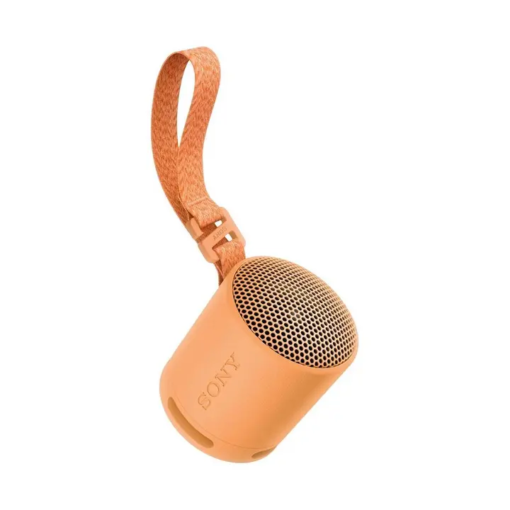 Bluetooth zvučnik SONY SRSXB100D.CE7-3
