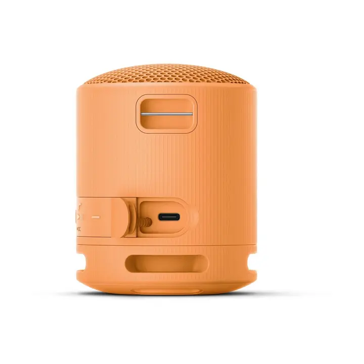 Bluetooth zvučnik SONY SRSXB100D.CE7-2