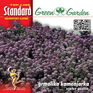 Sjeme cvijeća KAMENJARKA GRMOLIKA VIOLET QUEEN