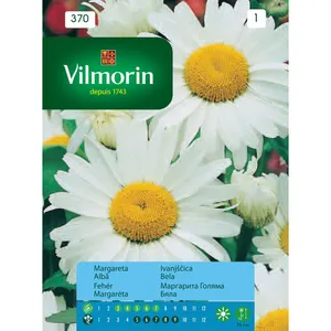 Sjeme cvijeća VILMORIN 370 IVANČICA BIJELA