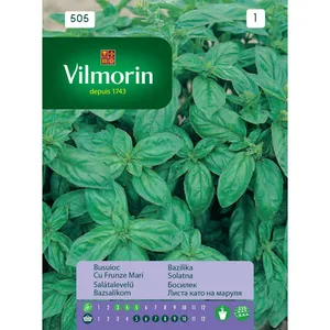 Sjeme začina VILMORIN 505 BOSILJAK