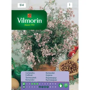 Sjeme začina VILMORIN 514 KORIJANDAR