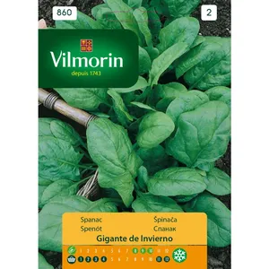 Sjeme povrća VILMORIN 860 ŠPINAT zimska velikanka