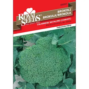 Sjeme povrća ROYAL SEEDS 7 BROKULA CORVET