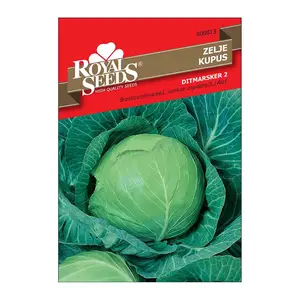 Sjeme povrća ROYAL SEEDS 13 KUPUS DITMAR