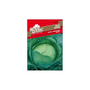 Sjeme povrća ROYAL SEEDS 18 KUPUS SLAVA