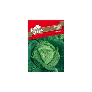 Sjeme povrća ROYAL SEEDS 31 KELJ VERTUS