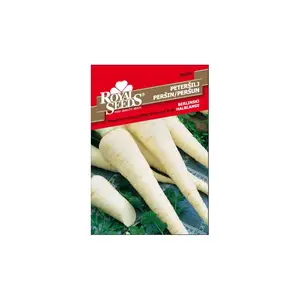 Sjeme povrća ROYAL SEEDS 52 PERŠIN BERLINSKI