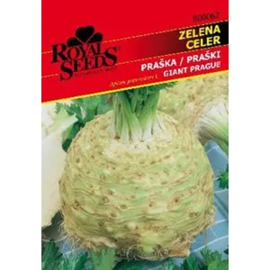 Sjeme povrća ROYAL SEEDS 62 CELER PRAŠKI