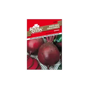 Sjeme povrća ROYAL SEEDS 67 CIKLA BIKOR