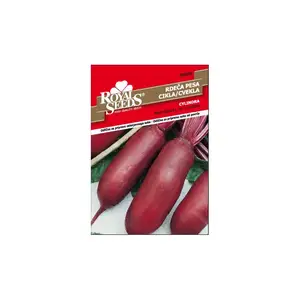 Sjeme povrća ROYAL SEEDS 68 CIKLA CYLINDRA