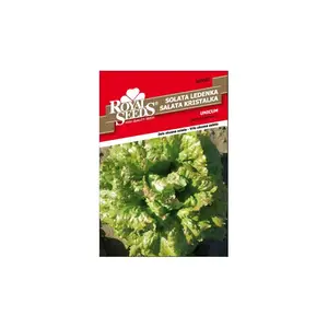 Sjeme povrća ROYAL SEEDS 83 SALATA UNICUM