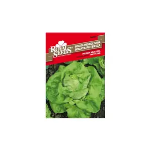 Sjeme povrća ROYAL SEEDS 87 SALATA MAJSKA KRALJICA