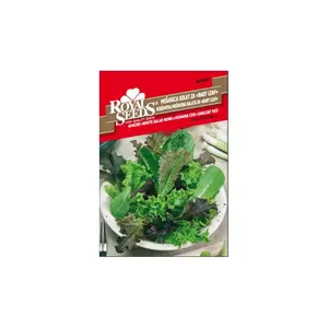 Sjeme povrća ROYAL SEEDS 90 MJEŠAVINA SALATA ZA BABY LEAF