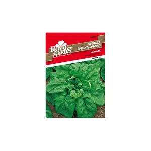 Sjeme povrća ROYAL SEEDS 97 ŠPINAT MATADOR