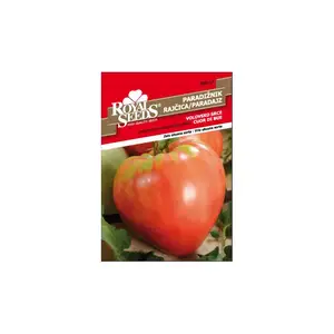 Sjeme povrća ROYAL SEEDS 117 RAJČICA VOLOVSKO SRCE