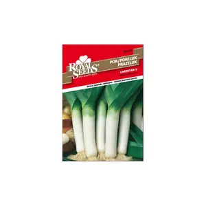 Sjeme povrća ROYAL SEEDS 138 PORILUK CARENTAN