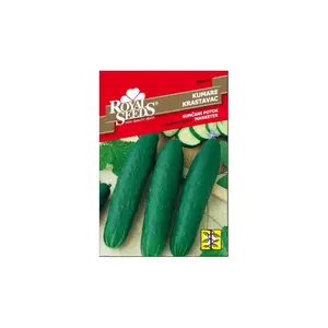 Sjeme povrća ROYAL SEEDS 143 KRASTAVAC MARKETER
