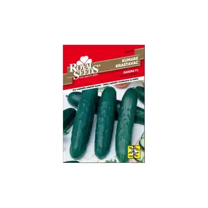 Sjeme povrća ROYAL SEEDS 144 KRASTAVAC DARINA F1