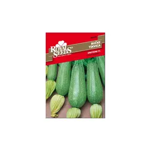 Sjeme povrća ROYAL SEEDS 155 TIKVICA GREYZINI F1