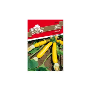Sjeme povrća ROYAL SEEDS 159 ŽUTA TIKVICA