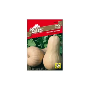 Sjeme povrća ROYAL SEEDS 165 TIKVA BUTTERNUT WALTHAM