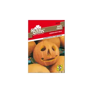 Sjeme povrća ROYAL SEEDS 167 TIKVA CONNECTICUT FIELD
