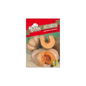 Sjeme povrća ROYAL SEEDS 171 TIKVA MUŠKATNA