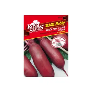 Sjeme povrća ROYAL SEEDS MAXI HOBBY 39 CIKLA CYLINDRA