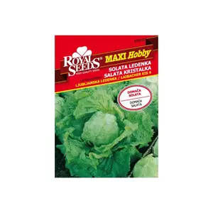 Sjeme povrća ROYAL SEEDS MAXI HOBBY 50 SALATA LJUBLJANSKA LEDENKA