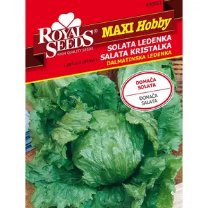 Sjeme povrća ROYAL SEEDS MAXI HOBBY 51 SALATA DALMATINSKA LEDENKA