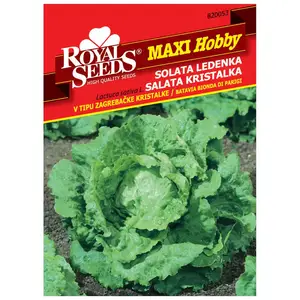 Sjeme povrća ROYAL SEEDS MAXI HOBBY 53 SALATA ZAGREBAČKA KRISTALKA