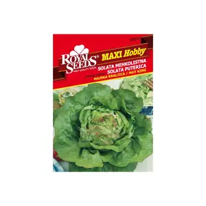 Sjeme povrća ROYAL SEEDS MAXI HOBBY 54 SALATA MAJSKA KRALJICA