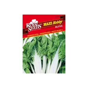 Sjeme povrća ROYAL SEEDS MAXI HOBBY 66 BLITVA SREBNOLISTNA