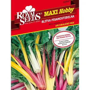 Sjeme povrća Royal seeds maxi hobby 67 blitva pisanolistna bright lights