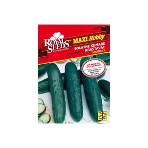 Sjeme povrća ROYAL SEEDS MAXI 91 HOBBY KRASTAVAC DARINA F1