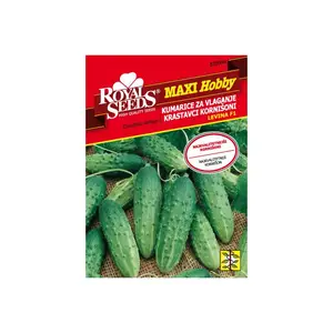 Sjeme povrća ROYAL SEEDS MAXI HOBBY 94 KRASTAVAC ZA VLAGANJE LEVINA F1