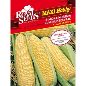 Sjeme povrća ROYAL SEEDS MAXI HOBBY 155 KUKURUZ ŠEČERAC CHALENGER F1