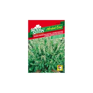 Sjeme začina ROYAL SEEDS HERBAL LINE 40 LIMONSKA INDONEZIJSKA BAZILIKA