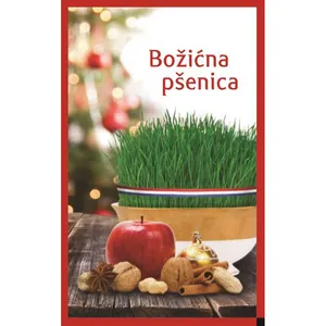 Sjeme povrća GREEN GARDEN BOŽIĆNA PŠENICA 100g-0
