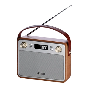 Prijenosni radio MANTA FM/USB/microSD LCD RDI915X