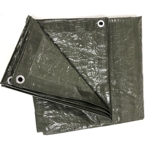 Cerada 100gsm 4x6m