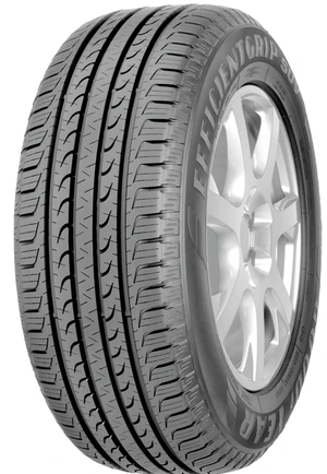 Ljetna auto guma GOODYEAR 215/70R16 100H EFFICENTGRIP SUV FP TL
