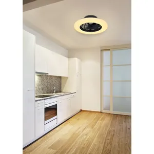 Stropni ventilator GLOBO LED 30W ,CCT, daljinski upravljač, TRAVO-4